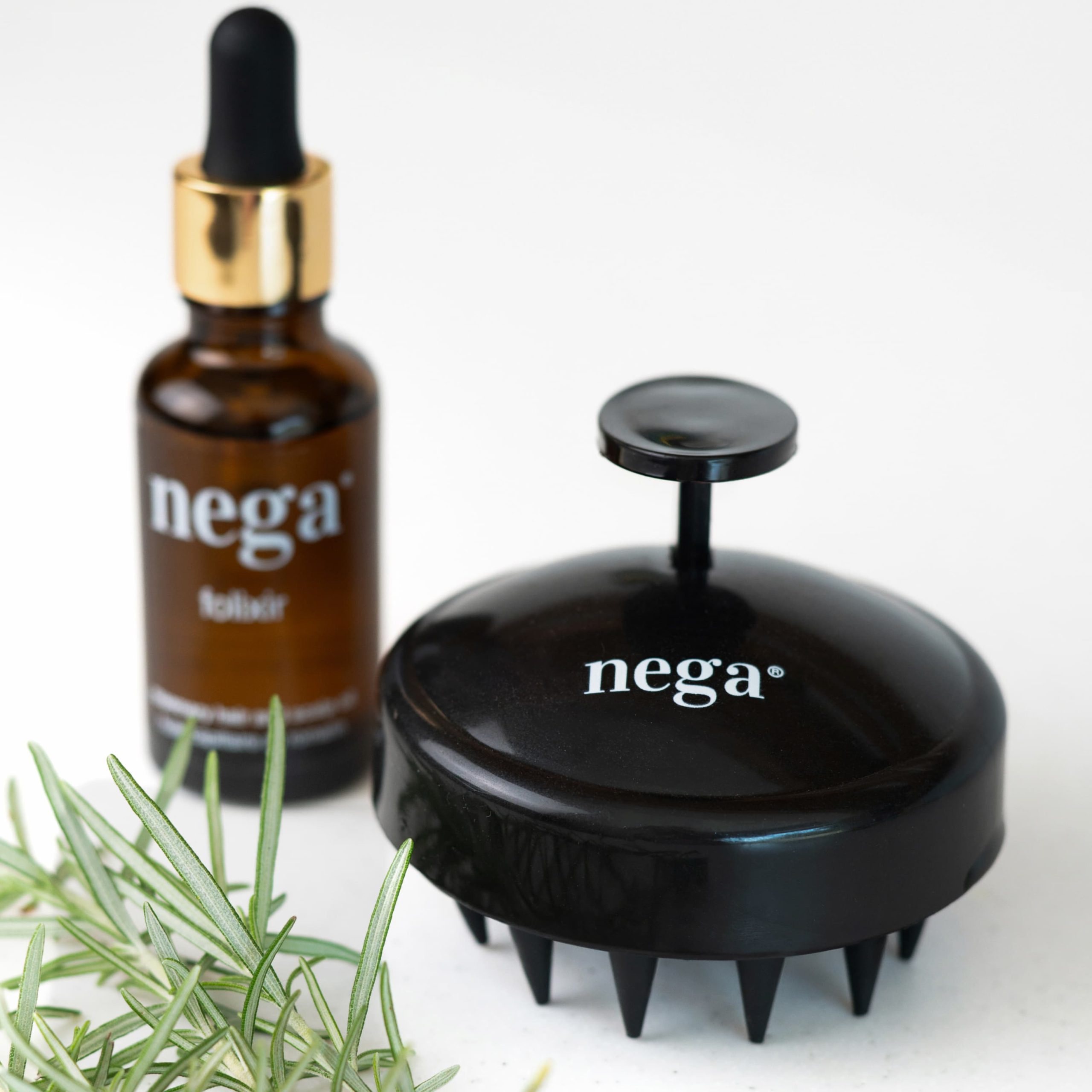 Βασικά Χαρακτηριστικά: